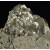 Pyrite and Fluorite Villabona Mine - Asturias M03878